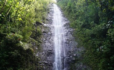 Manoa Falls Oahu